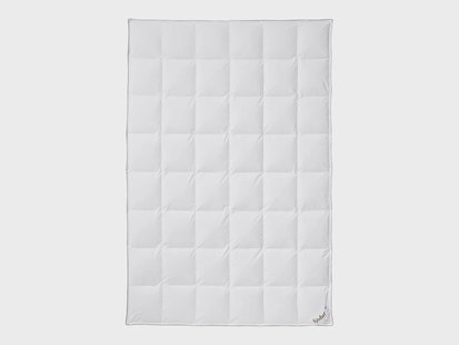 Fjödur 4-seizoenen donzen dekbed (240 x 220 cm)