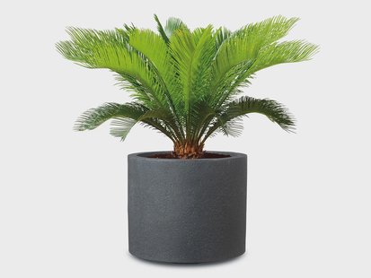 SCHEURICH Plantenbak (Zwart graniet, Ø 50 cm)