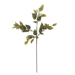 Bloomingville kunsttak Eucalyptus