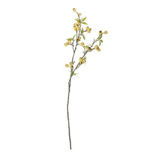 Bloomingville kunsttak Hawthorn