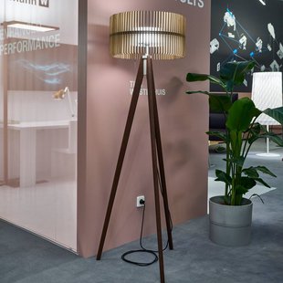 Waldmann LED vloerlamp Vivaa.free, licht eiken, 3000K, driepoot, hout
