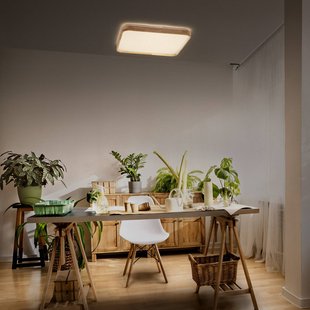 OSRAM LED plafondlamp ORBIS ALICIA, 29 x 29 cm hout clickdim