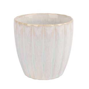 Cosy & Trendy Koffiekopjes - Astera Pure Wit - 240 ml - 4 Stuks