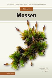 Veldgids mossen