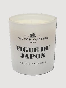 Geurkaars Figue Du Japon (zwarte vijg &amp; vetiver)