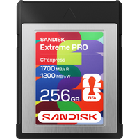 SANDISK FIFA World Cup 2026 Edition 256GB CFexpress Type B