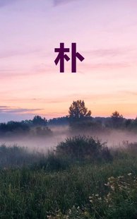 Eenvoud