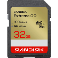 SANDISK Extreme GO SDHC 32GB 100MB/s