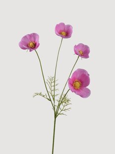 Kunsttakken Cosmos, 2-delig