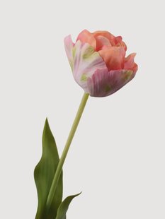Kunstbloemen Tulip, 2-delig