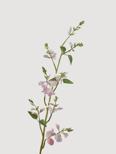 Kunsttakken Lathyrus Real Touch, 2-delig
