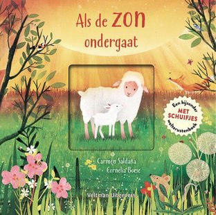 Als de zon ondergaat