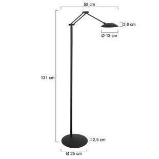 Steinhauer LED vloerlamp Daphne 2, 1-lamp, zwart, CCT, afstandsbediening