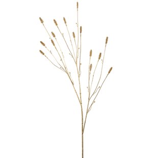 Sanguisorba