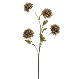Chrysantum