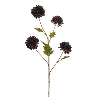 Chrysantum