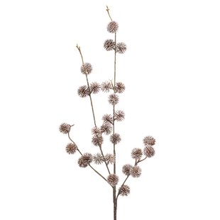 Chestnut