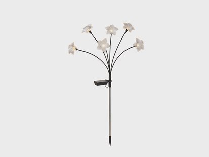 LIVARNO LED-solarverlichting (Bloem)