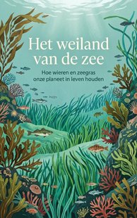 Het weiland van de zee