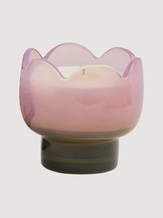 Geurkaars Tulip (Bronzed Gardenia) van glas