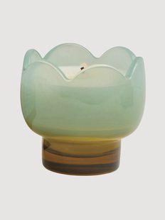 Geurkaars Tulip (Wisteria &amp; Willow) van glas