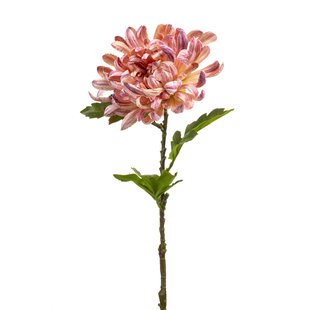 Chrysantum