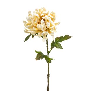 Chrysantum