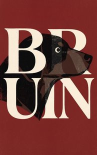 Bruin