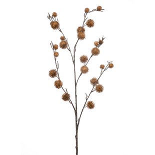 Chestnut