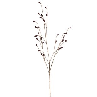 Sanguisorba