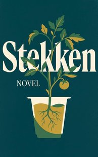 Stekken