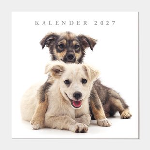Jaarkalender Honden 2027
