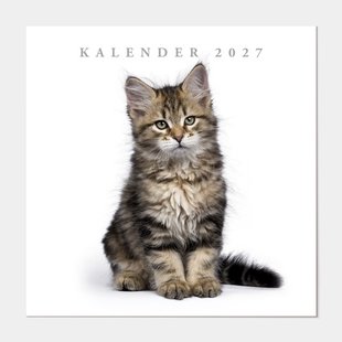 Jaarkalender Katten 2027