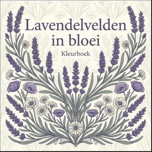 Lavendelvelden in bloei