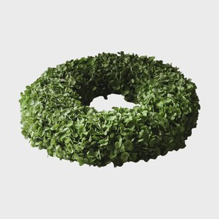 Botané Hortensia krans Green, Ø40 cm