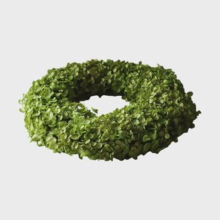 Botané Hortensia krans Light green, Ø40 cm
