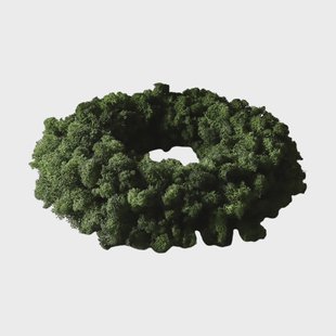 Botané Moss Wreath moskrans Green, Ø40 cm