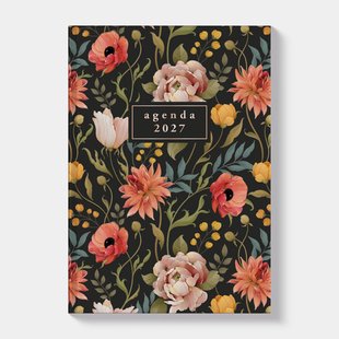 Agenda Mini D1 2027