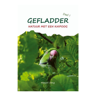 Gefladder