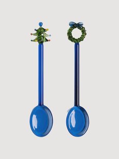 Handgemaakte lepelset Merry, 2-delig