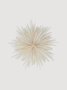 LED-kerstster Avior