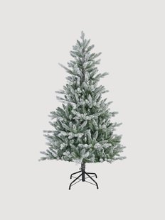 Kerstboom Allison