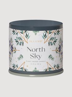 Geurkaars North Sky (citrusvruchten, zwarte bes, ebbenhout)