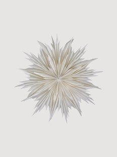 Decoratieve ster Dust, in verschillende formaten