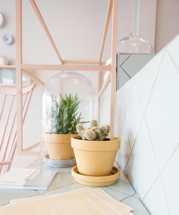 woonhome-botanische-trend-minituintje-in-huis-stolp-cacus-hout-licht