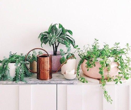 woonhome-cream-ceramics-botanisch-marmer-planten-woontrends-2015
