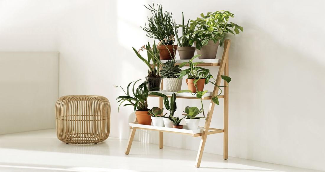 woonhome-etagere-planten-woontrend-woonkamer-trendy-trend-2016