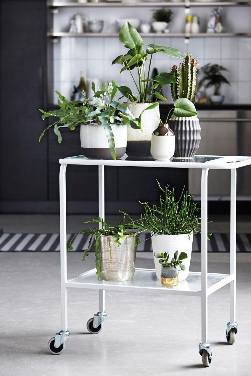 woonhome-inspiratie-interieur-theewagen-drankwagen-trolley-met-planten-interieurinspiratie