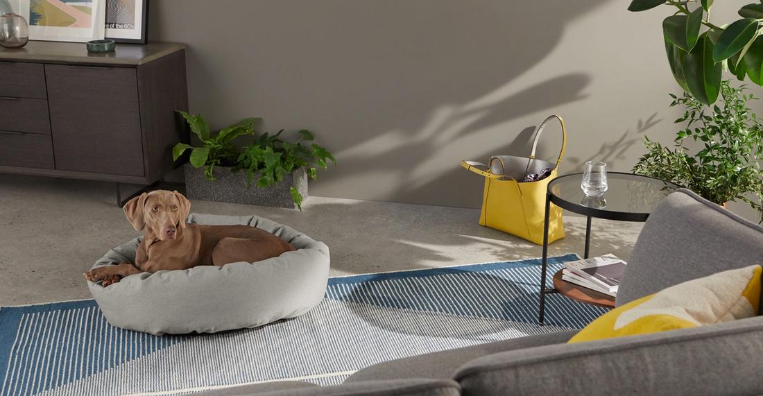 Mooie grote, stijlvolle hondenmand voor in de woonkamer.