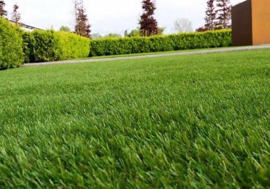 woonhome-voordelen-van-kunstgras-grasveld-tuin
